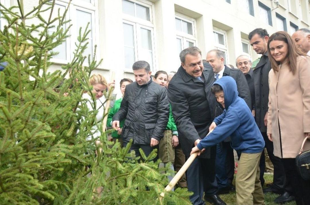 Bakan Veysel Eroğlu &Ouml;ğrencilerle Birlikte Fidan Dikti