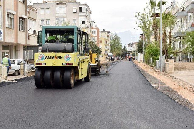 Başkan Tütüncü, Mahallelerdeki Çalışmaları İnceledi