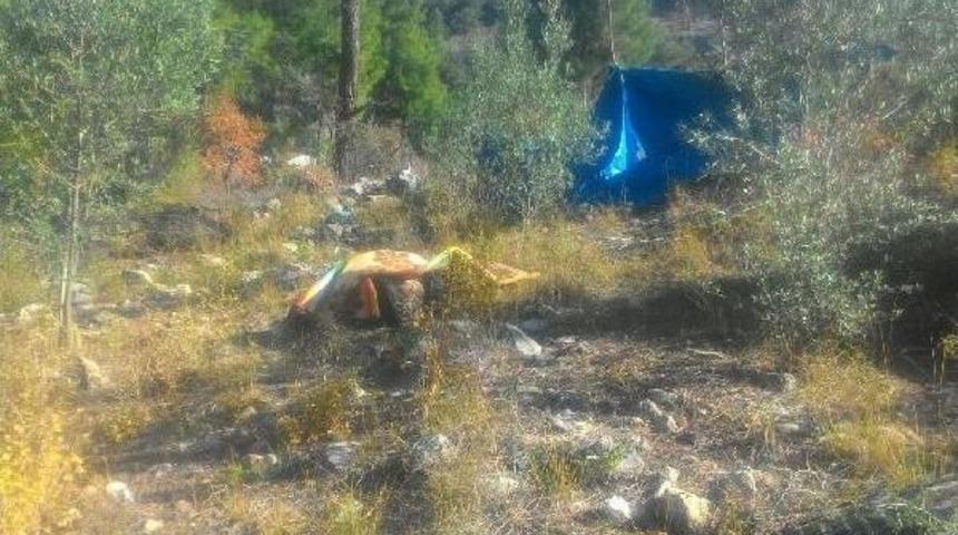 İki G&uuml;n Sonra Ormanda &Ouml;l&uuml; Bulundu