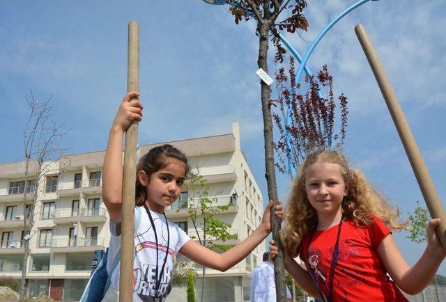 Söke’de Çocukların İsimlerini Taşıyan Ağaçlar Dikildi