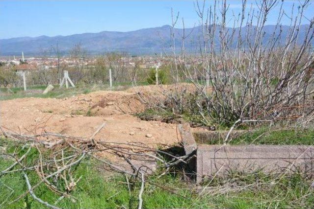 Defineciler, Horoztepe Höyüğünü Yağmaladı