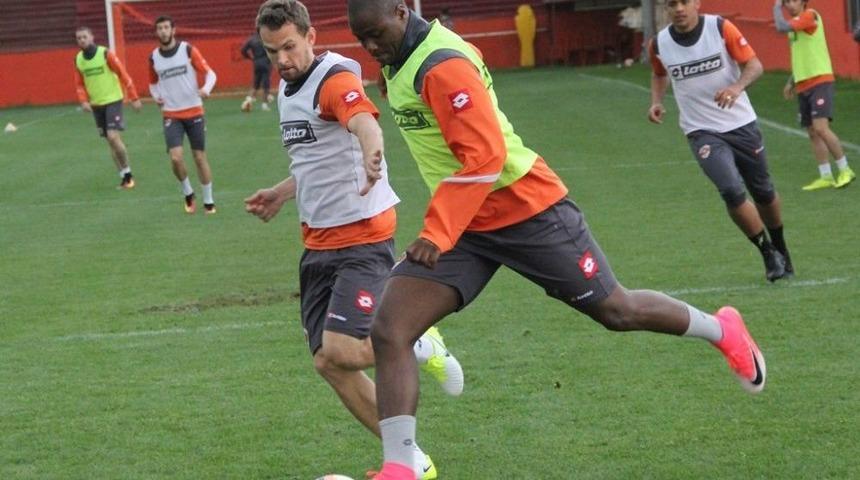 Kaplan Taktik &Ccedil;alıştı