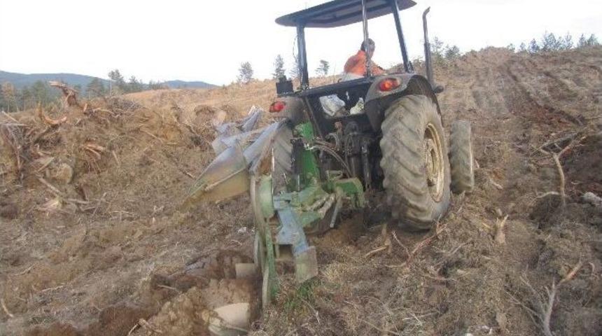 Kastamonu&rsquo;da Orman Gen&ccedil;leştirme &Ccedil;alışmaları S&uuml;r&uuml;yor