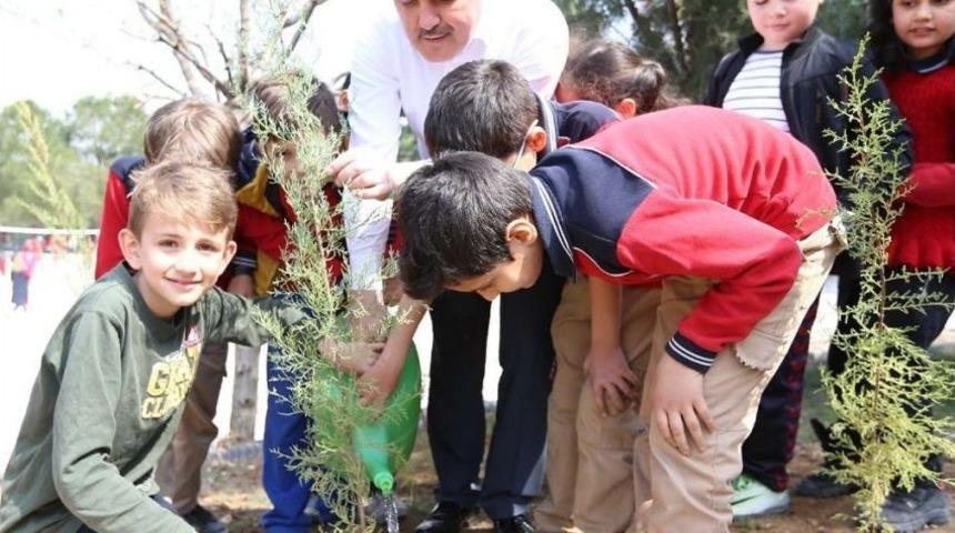 Başkan G&uuml;rlesin, Fidan Dikti