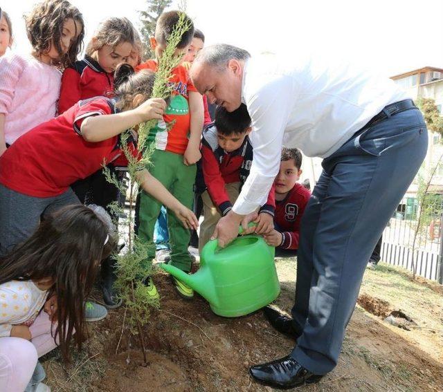 Başkan Gürlesin, Fidan Dikti