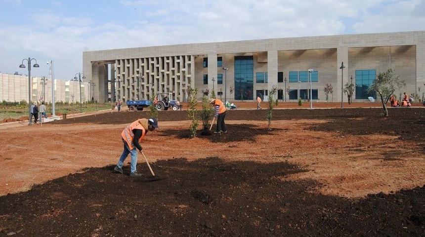 Haleplibah&ccedil;e Parkı Bahara Hazırlandı