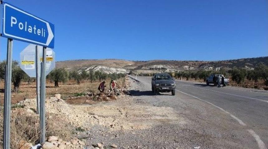 Karayolu Kenarına 10 Bin Adet Fidan Dikiliyor