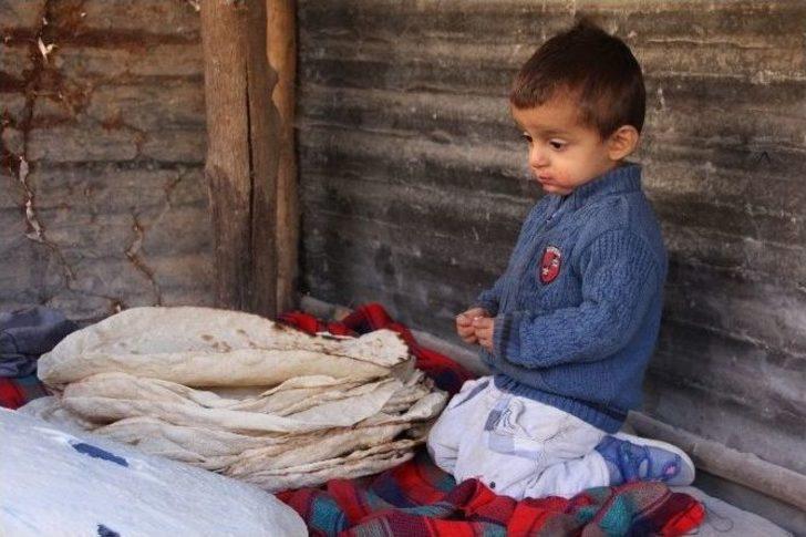 (özel Haber) Su Değirmeniyle Geçen Bir Hayat G4