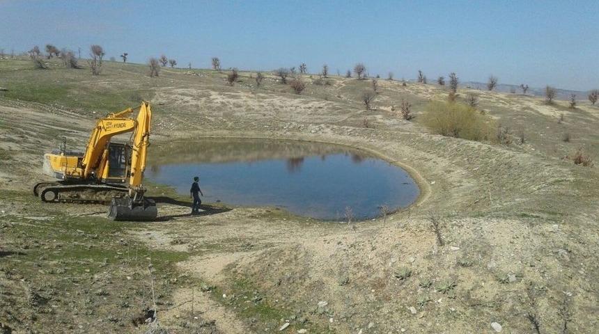 Selendi&rsquo;nin G&ouml;letlerinde Hummalı &Ccedil;alışma