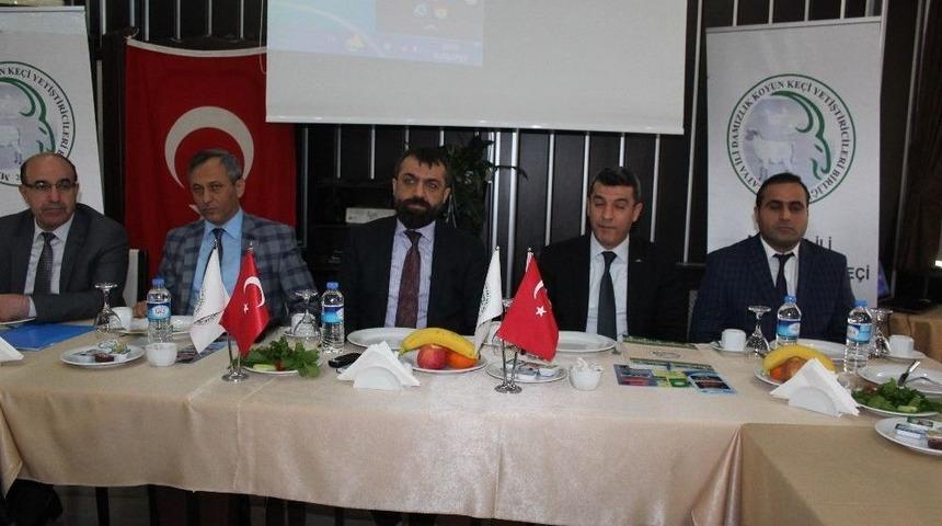 K&uuml;&ccedil;&uuml;kbaş Hayvan &Uuml;reticilerine Verilecek Destekler Anlatıldı