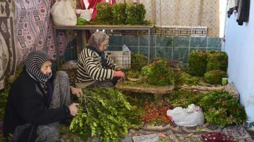 Avrupa'ya 6.5 Milyon Dolarlık Çelenk