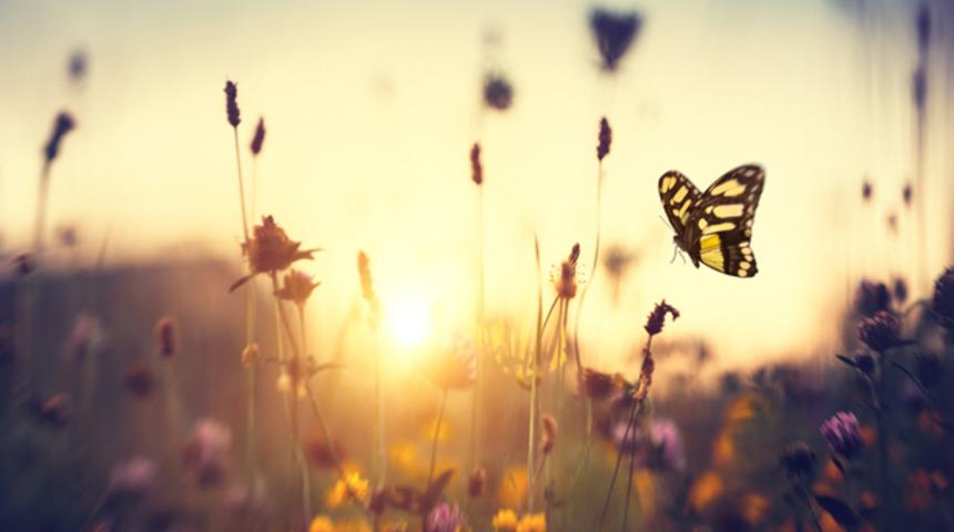 'Annenle baban i&ccedil;in dua et, yoksa &ouml;ld&uuml;klerinde cehenneme gidecekler'