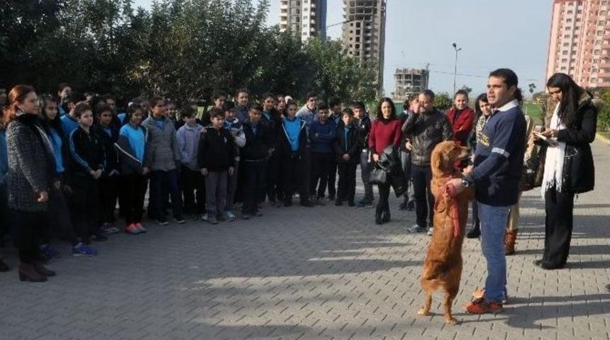 &Ccedil;&ouml;pl&uuml;kte Geri D&ouml;n&uuml;ş&uuml;m Dersi