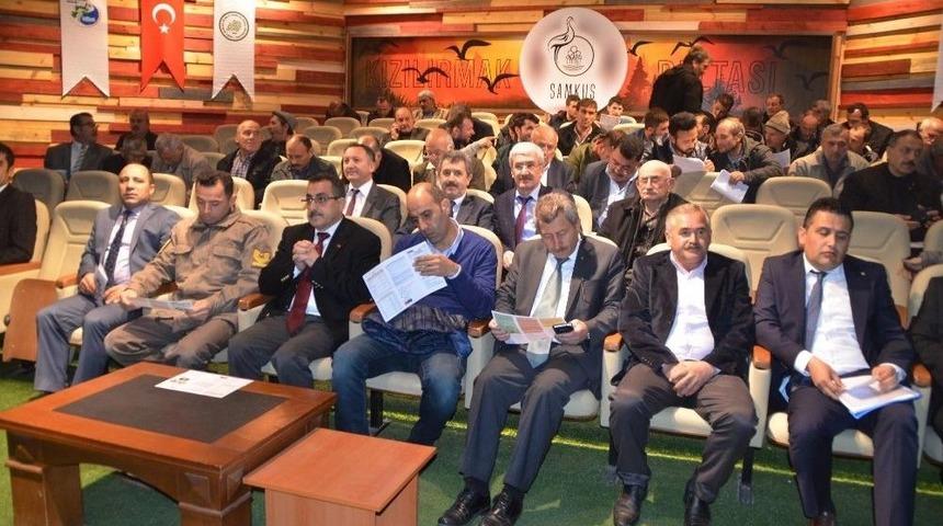 Manda S&uuml;t&uuml;n&uuml;n Markalaşma Yolculuğu