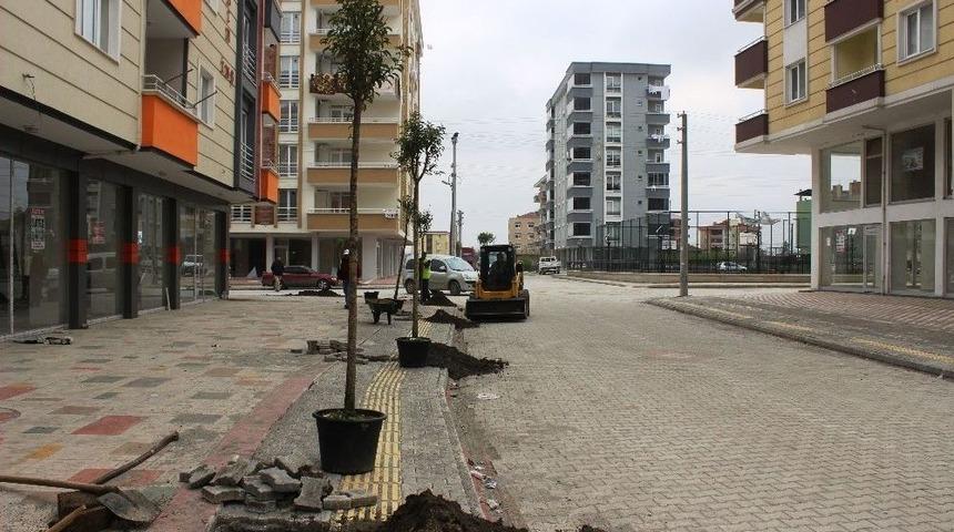 Tekkek&ouml;y Yeşille B&uuml;t&uuml;nleşiyor