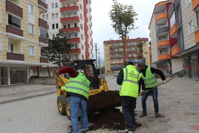 Tekkeköy Yeşille Bütünleşiyor