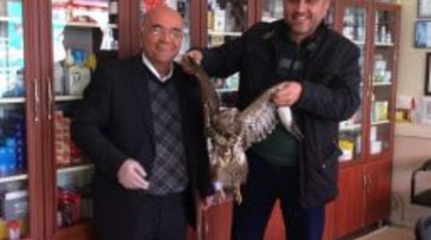 Yaralı Kartala Sahip &Ccedil;ıktı