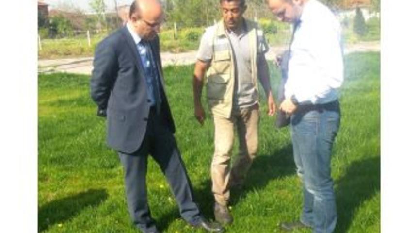 Hersek Yağlı G&uuml;reşleri İ&ccedil;in Geri Sayım