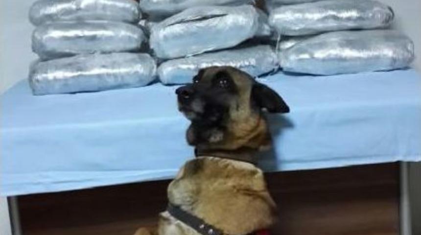 Şanlıurfa'da Yolcu Otob&uuml;s&uuml;nde Esrara G&ouml;zaltı