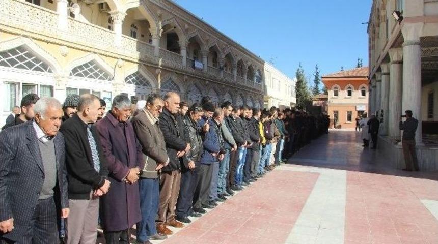 Halep’te Ölen Suriyeliler İçin Gıyabi Cenaze Namazı Kılındı