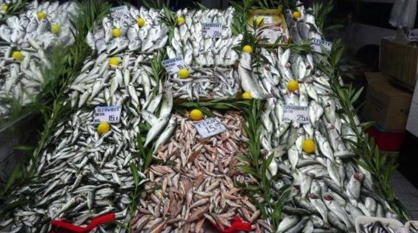 &Ccedil;anakkale'de Sarıkanat Fiyatları Arttı