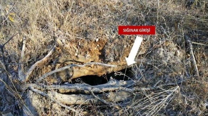 Sehi Ormanlarında Ter&ouml;r Operasyonu