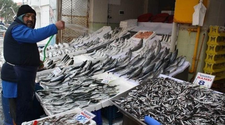 Fırtına Dindi, Balık Fiyatları D&uuml;şt&uuml;