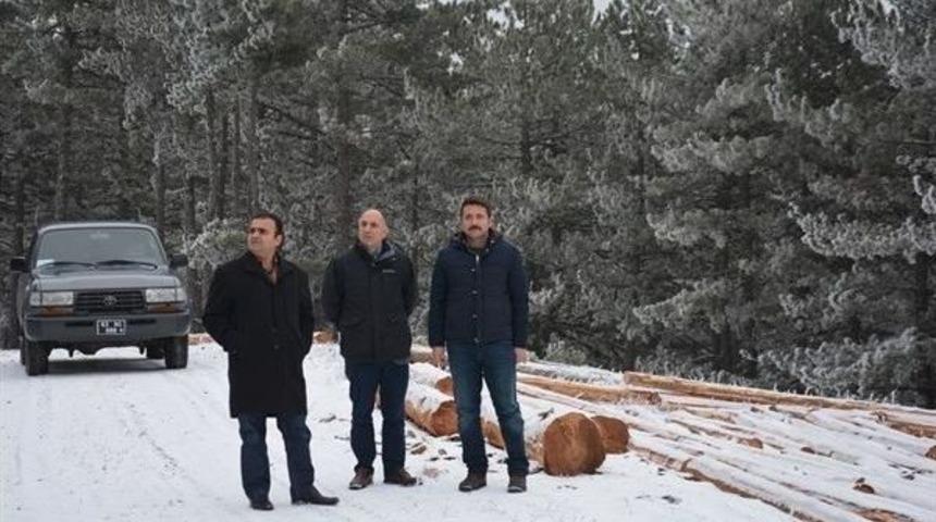 K&uuml;tahya Orman B&ouml;lge M&uuml;d&uuml;r&uuml; Adnan Kayım, Gediz Ormanlarını İnceledi