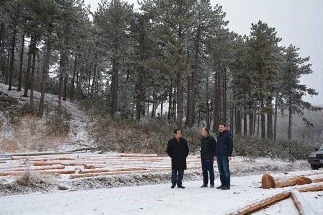 Kütahya Orman Bölge Müdürü Adnan Kayım, Gediz Ormanlarını İnceledi