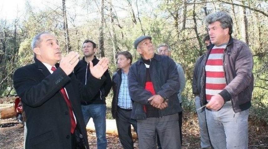 Marmaris&rsquo;te Kabuk B&ouml;ceği Alarmı