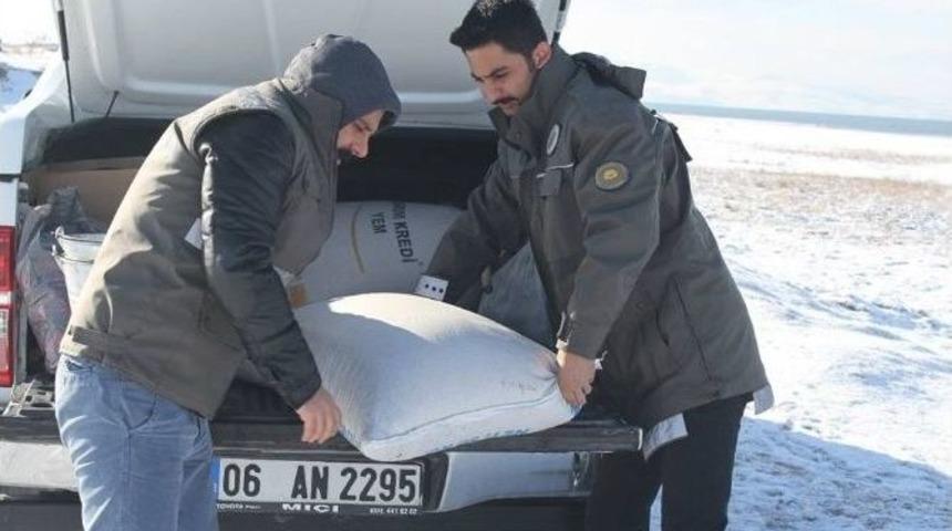 Yaban Hayvanları İ&ccedil;in Doğaya Yem Bırakıldı