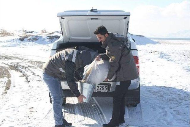 Yaban Hayvanları İ&ccedil;in Doğaya Yem Bırakıldı 2