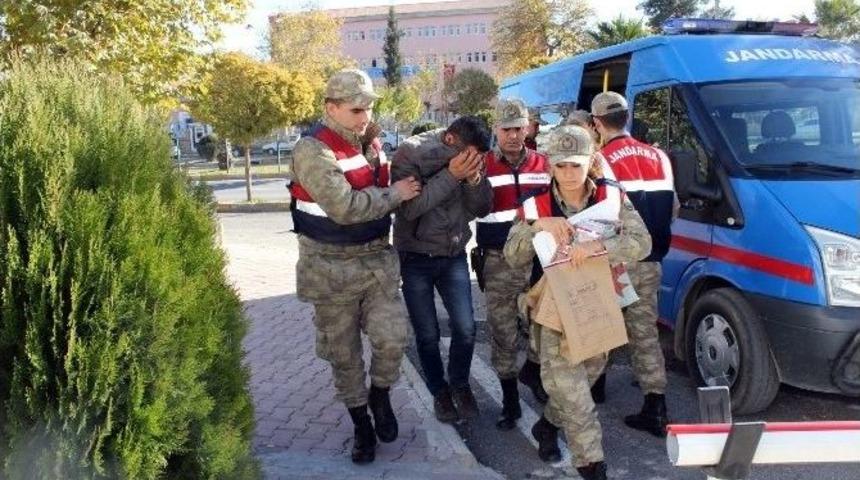 Nohut Hırsızları Yakalandı