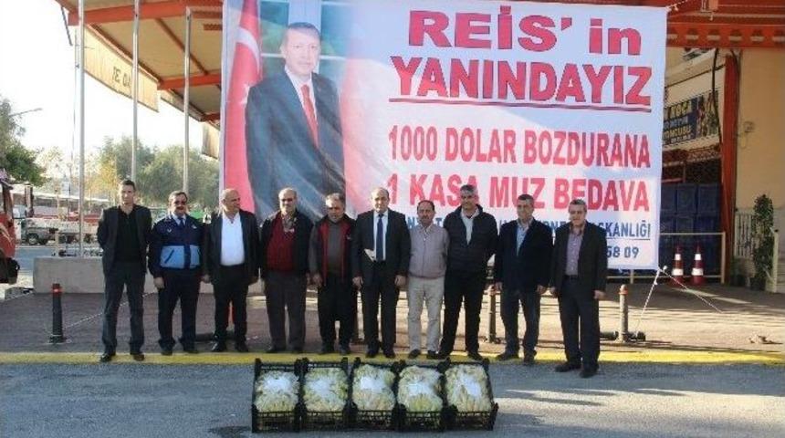 Bin Dolar Bozdurana 1 Kasa Alanya Muzu