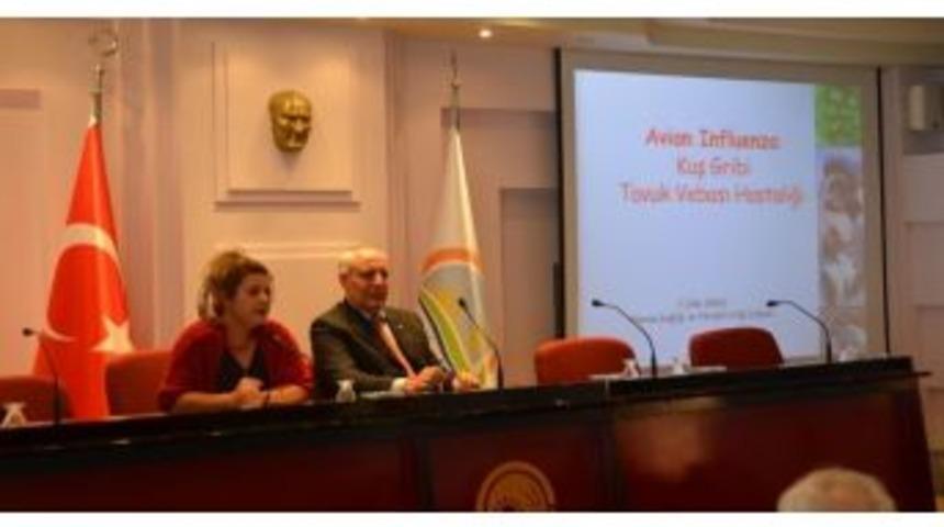 İzmir&rsquo;de Kuş Gribi Alarmı