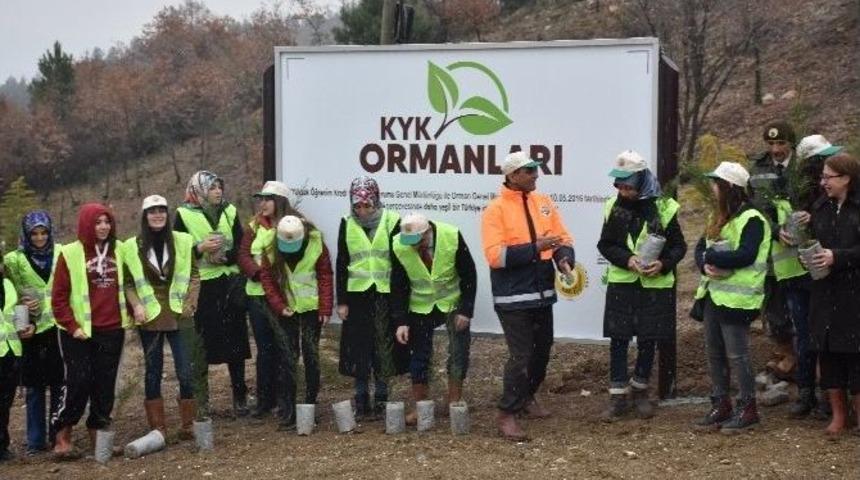 Karab&uuml;k Kyk Ormanları Yeşeriyor