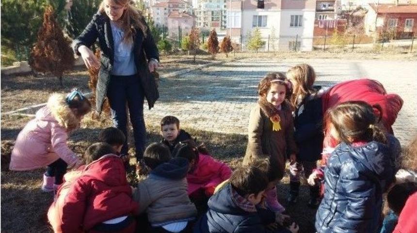 Minikler Demokrasi Şehitleri İ&ccedil;in Fidan Dikti