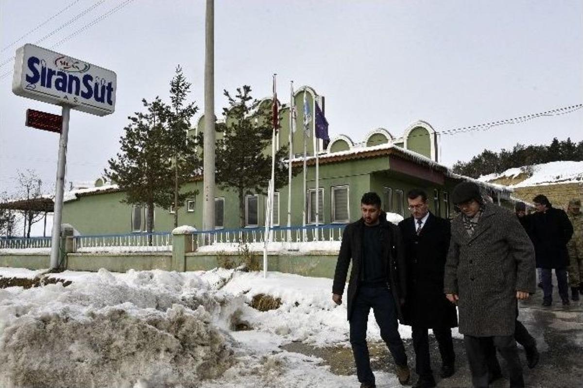 Vali Memiş, Katkısız Yoğurt Ve Peynir &Uuml;retimini İnceledi
