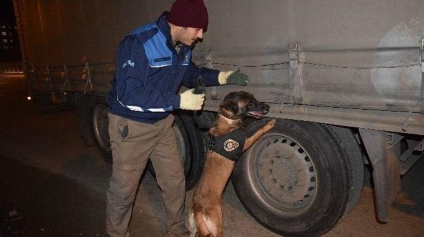 Giresun&rsquo;da 600 Polis İle &lsquo;huzur&rsquo; Uygulaması