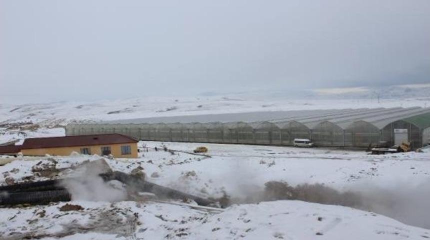 Sibirya Soğuklarında Sera &Uuml;retimi