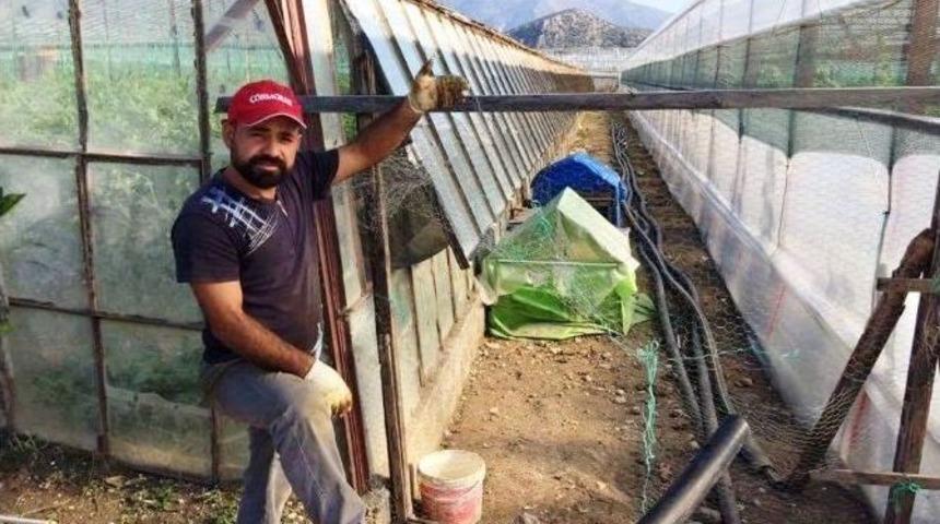 K&uuml;mese Giren Hırsızlar 26 Tavuk İle 3 Horozu &Ccedil;aldı