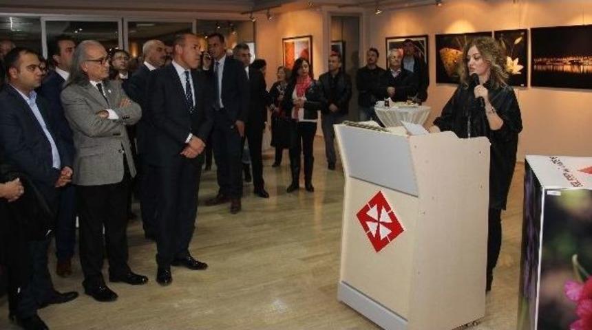 &ldquo;&ccedil;i&ccedil;ek Kent Adana&rdquo;nın Fotoğrafları Sanatseverlerle Buluştu