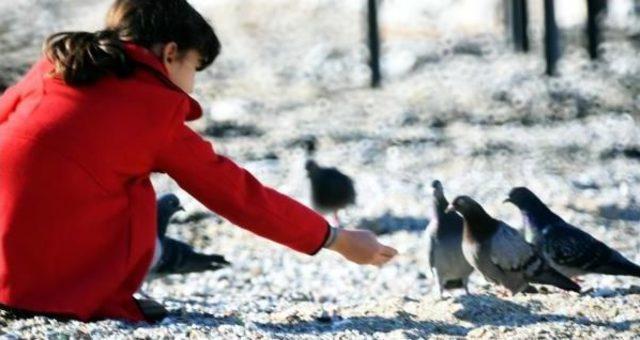 Bodrum'da Kış Ortasında Bahar Keyfi