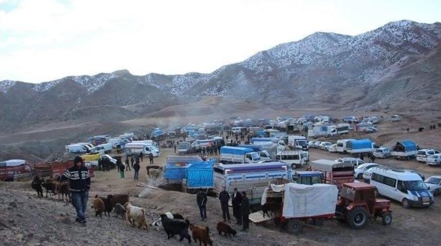 Hayvan Pazarında Dondurucu Soğuk &Ccedil;ileye D&ouml;n&uuml;şt&uuml;