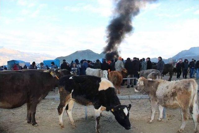 Hayvan Pazarında Dondurucu Soğuk Çileye Dönüştü