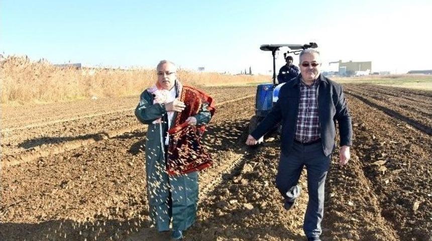 Yerli Tohumdan Ekmek &Uuml;retilecek