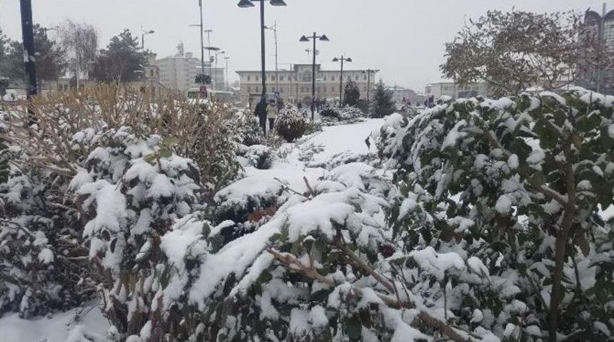 Sivas Beyaza B&uuml;r&uuml;nd&uuml;