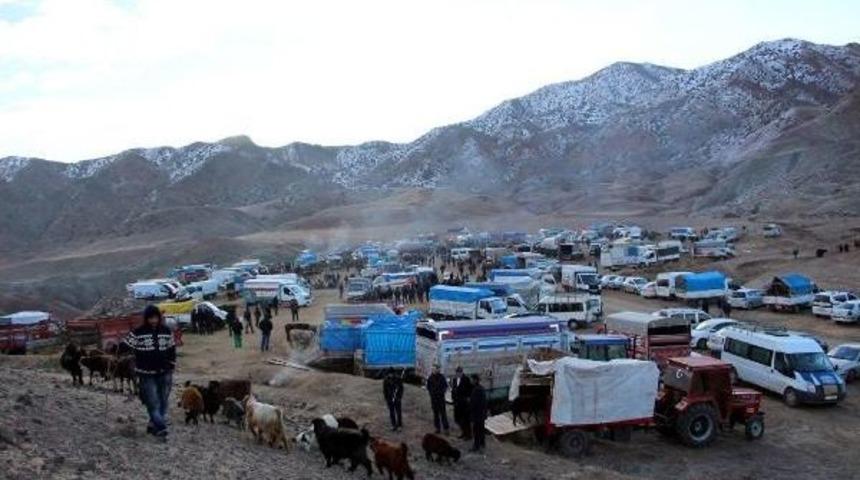 Hayvan Pazarında Dondurucu Havada Isınma &Ccedil;abası