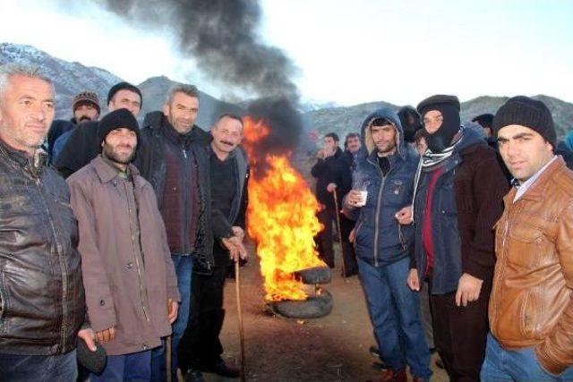 Hayvan Pazarında Dondurucu Havada Isınma Çabası