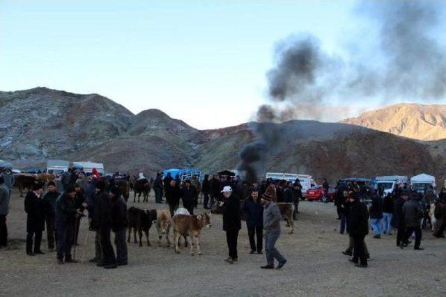 Hayvan Pazarında Dondurucu Havada Isınma Çabası